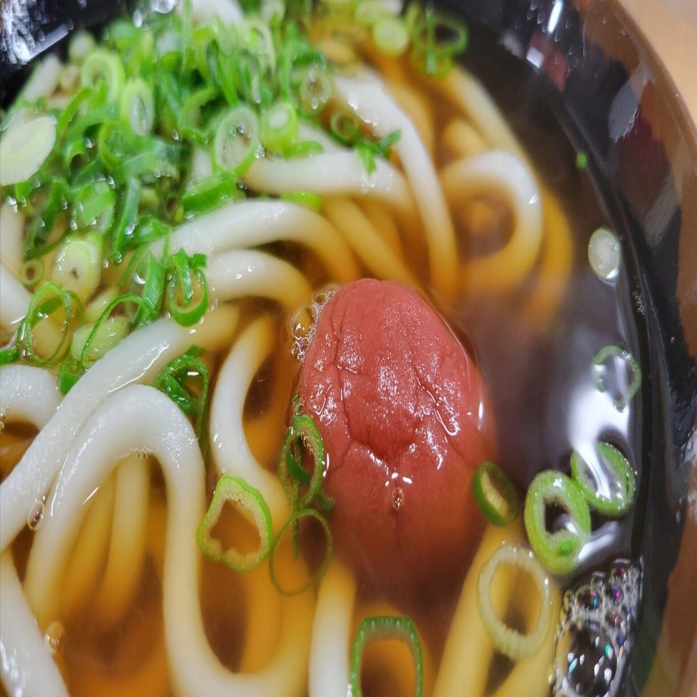 大阪・天八うどん「どんでん」さん｜藤井靜子