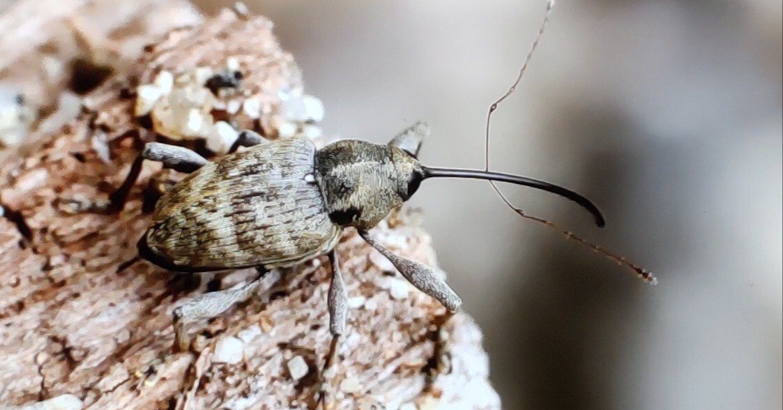 32495f0948b4d17276ea599f128f66