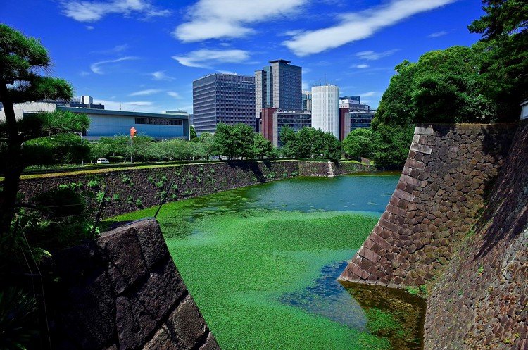 @ Kitanomaru Park (北の丸公園), located North of the Imperial Palace, Tokyo.