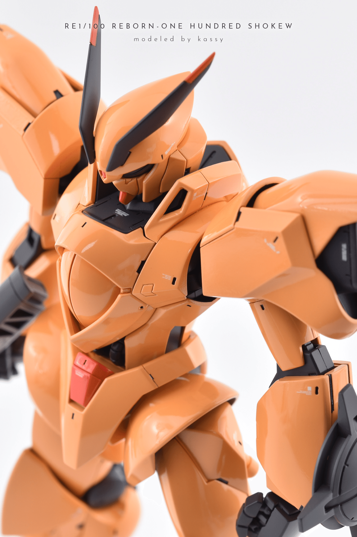 RE/100 1/100 シャッコー - ツノメドリ属日記