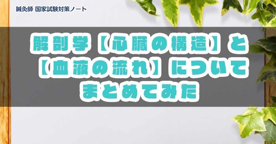 解剖学 心臓の構造と血液の流れについて もぬけ 国試対策 鍼 柔 あ Note