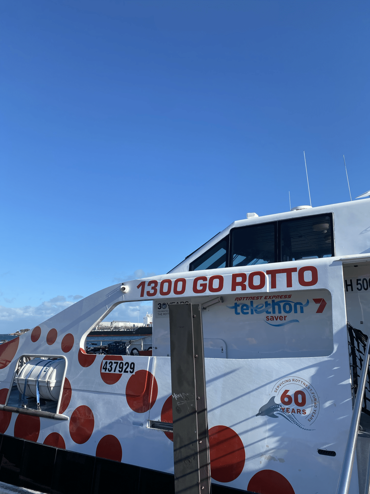 海外旅行記￤オーストラリア・パース #02】世界一幸せな動物に会いに