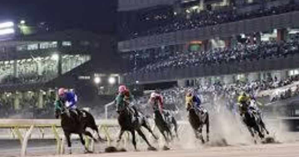 東京ダービーウィーク特集 中編 そもそも東京ダービーの何がすごいの ちあきの考える競馬予想 Note