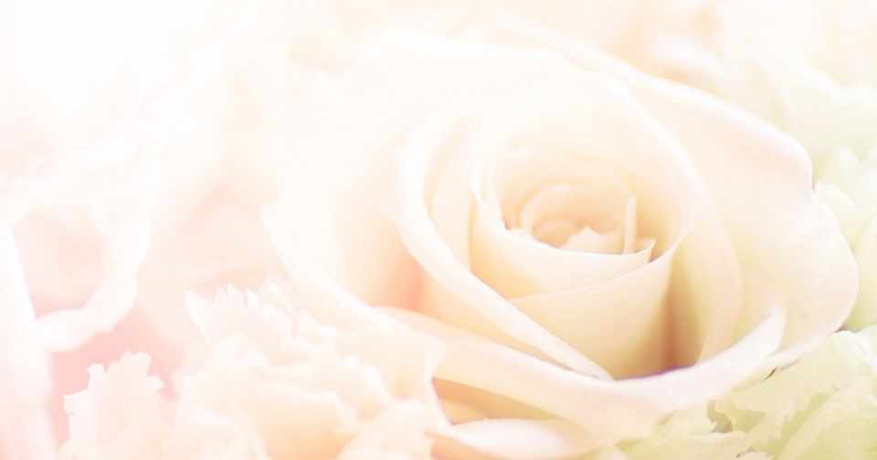 結婚式打合せで何を決めてる Mayusaku Note