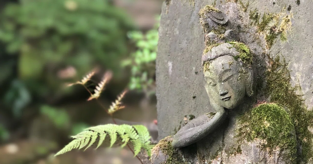 自分の本領を発揮するために生きている|本領亮一
