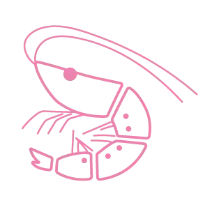 ebi