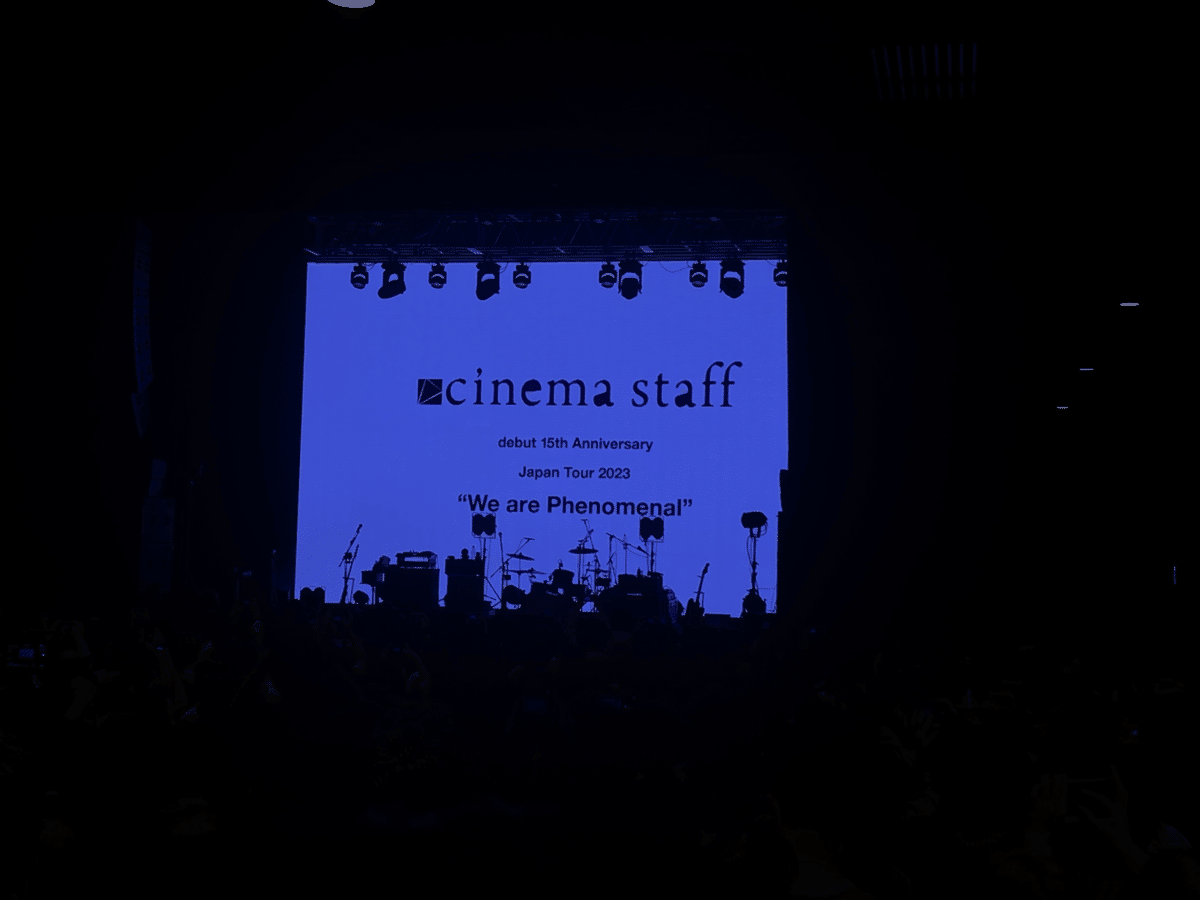 非売品 cinema staff We are Phenomenal! dvd 非売品 cinema staff We are Phenomenal! dvd