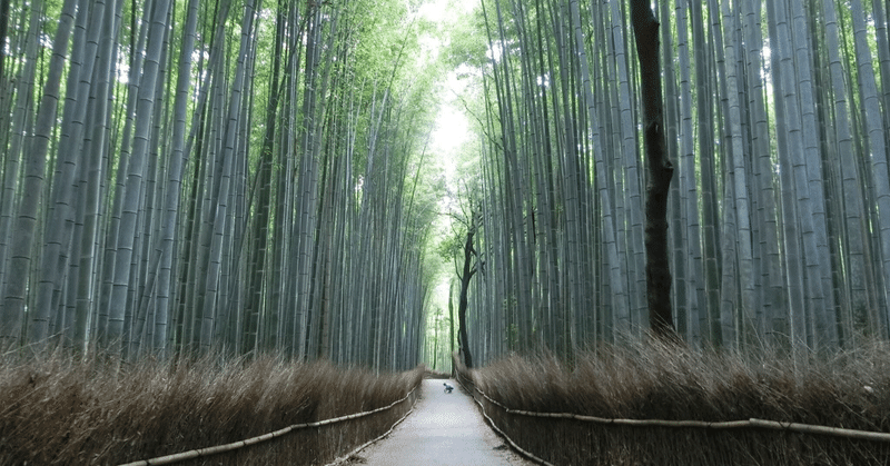 京都の観光で注意した方がいいこと2(嵐山へのアクセス編)