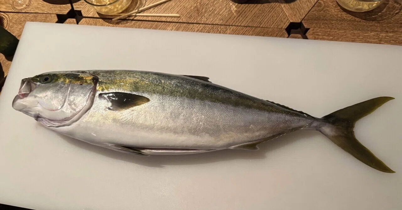 発泡スチロールを使わない魚の梱包と発送方法 ｜ネットラヂオ旅の鳴る木