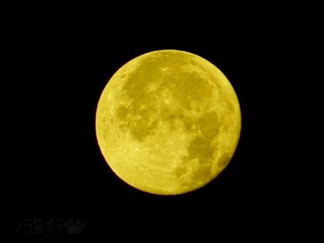 Lunar Embassy Japan「月の土地」｜宮本太一（チーハン）