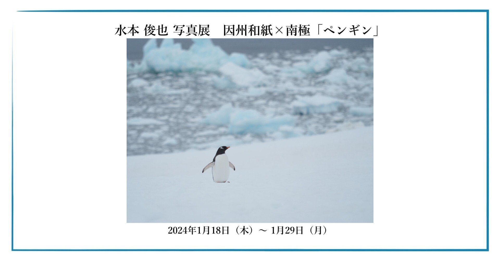 水本 俊也 写真展 因州和紙×南極「ペンギン」｜OM SYSTEM