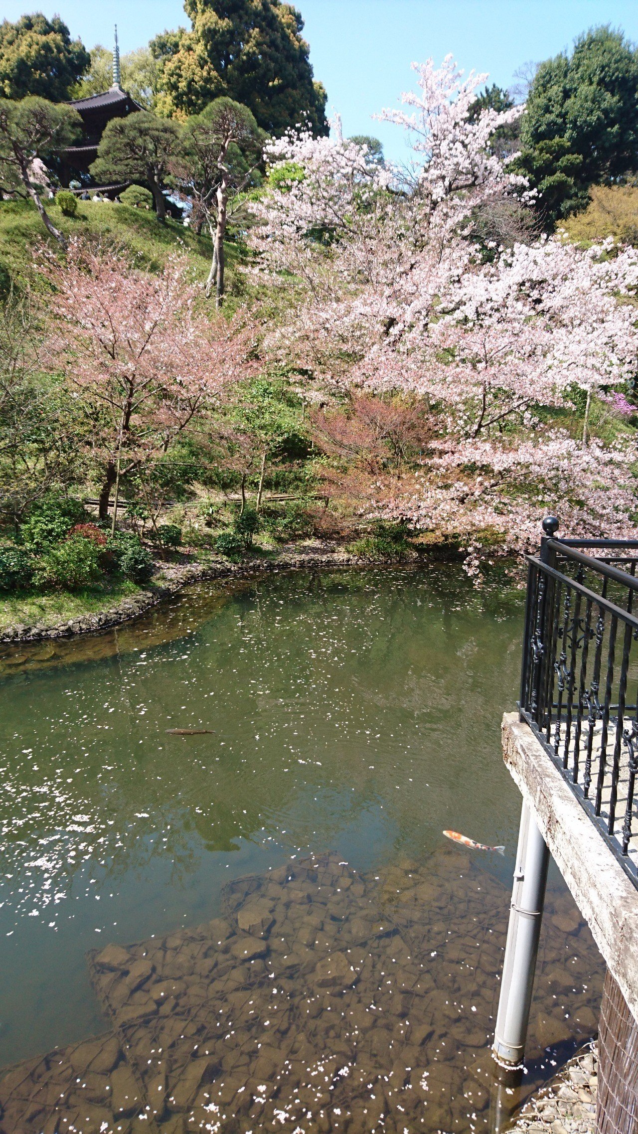 夫婦それぞれの結婚式体験談 両家顔合わせ準備編 新婦視点 Telife Note