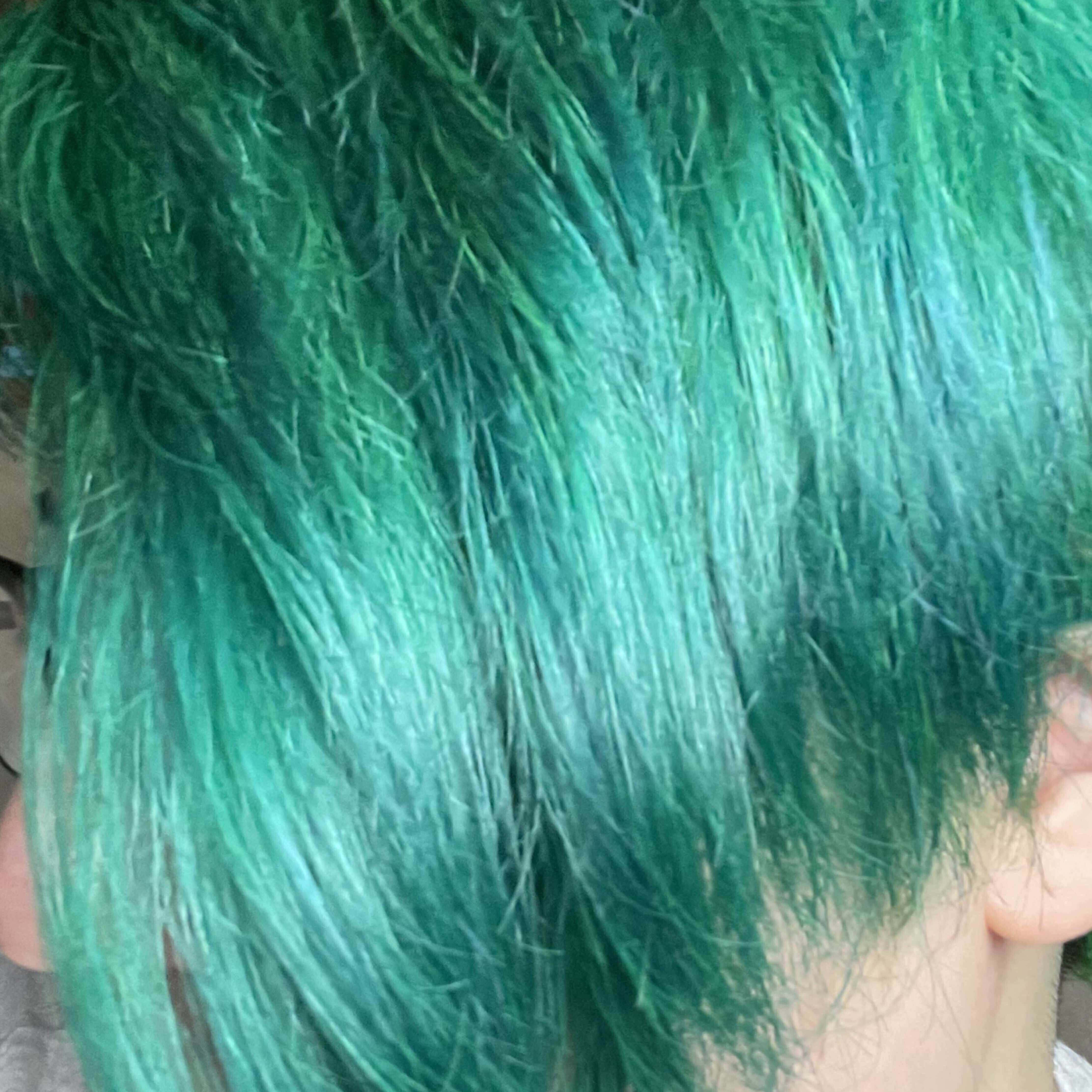 きん🟡🟡ふみ