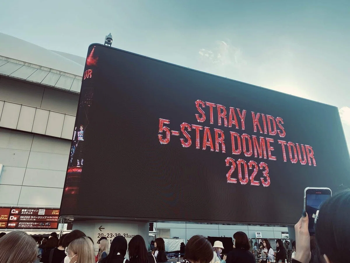 Stray Kids ソロサイン入りチェキ バンチャン 飛び込も