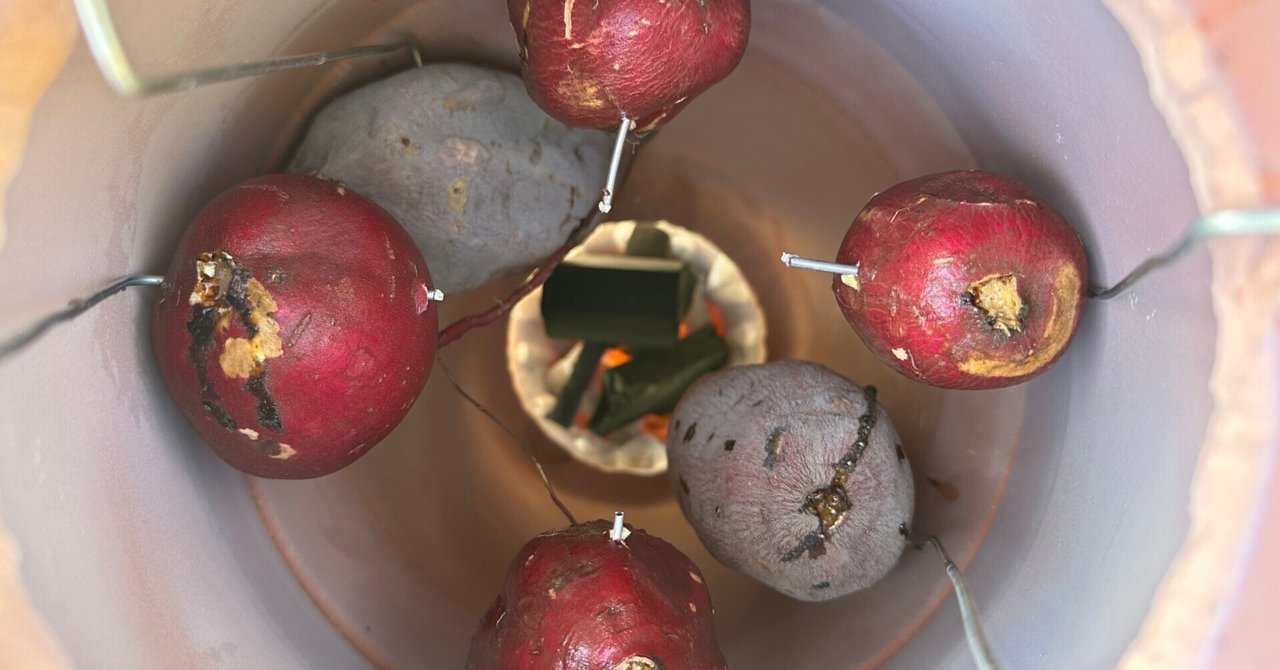 2023/11/5 お野菜み～つけた！ー 「焼き芋専用壺」を植木鉢でDIYして