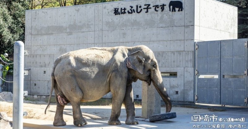 ゾウがいる鹿も印象的、岡崎市東公園動物園。しかも無料。