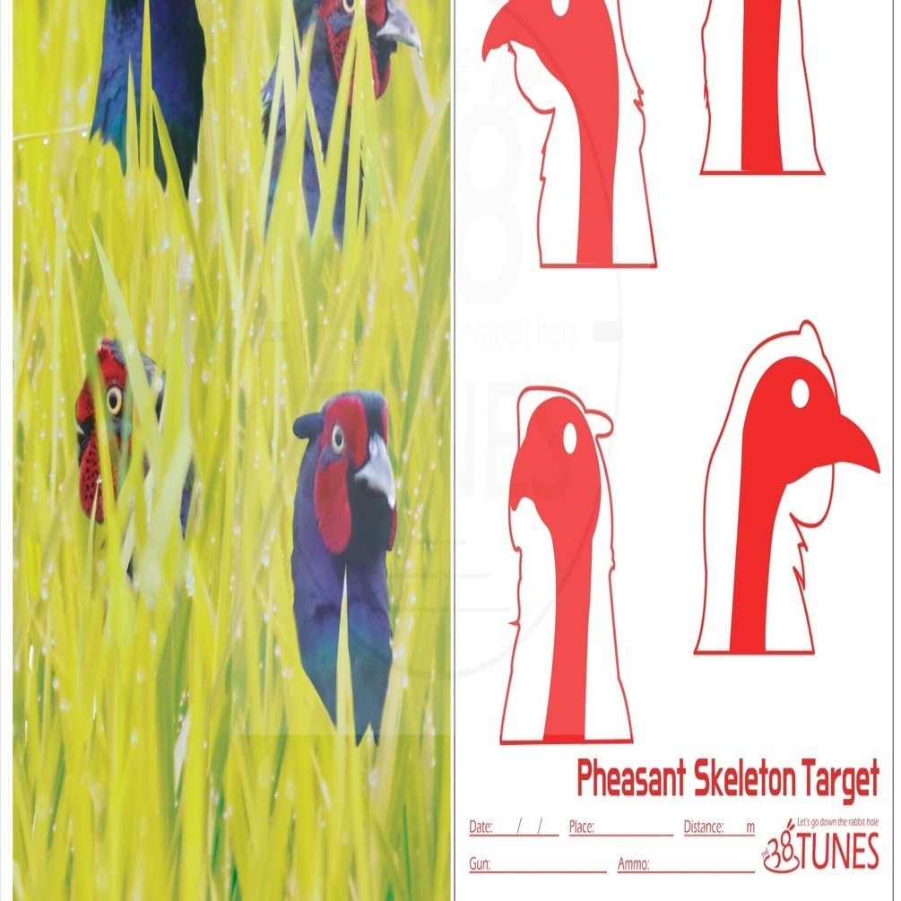 キジ的の遊び方〜38TUNESターゲット｜サンパチ チューンズ (Yuu Miyahara)