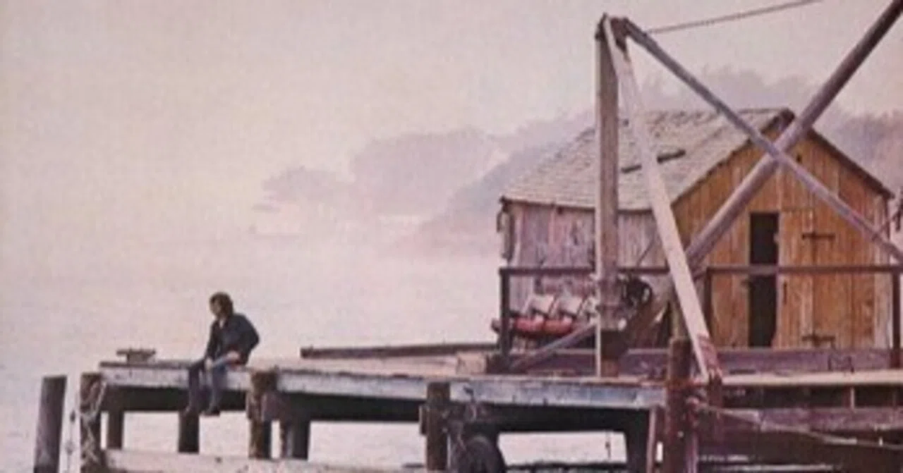 Marc Benno「Minnows」(1971)｜音楽の杜