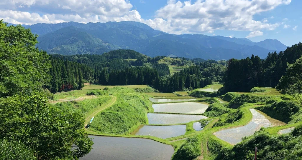 山都町 トマト産地 – 山都町 トマト 販売状況 – 生産量日本一、熊本のトマトを食べよう – TUMI