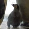 たつきー