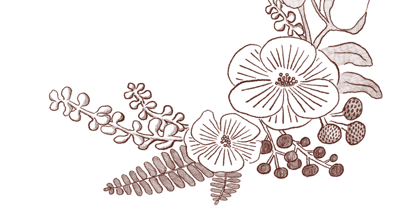 植物イラスト Satoko Note