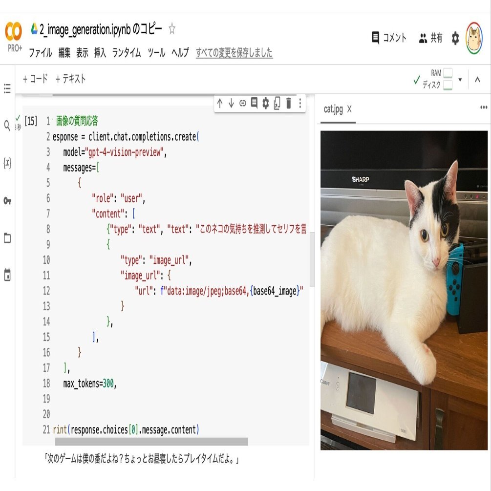Google Colab で OpenAI API の Vision を試す｜npaka