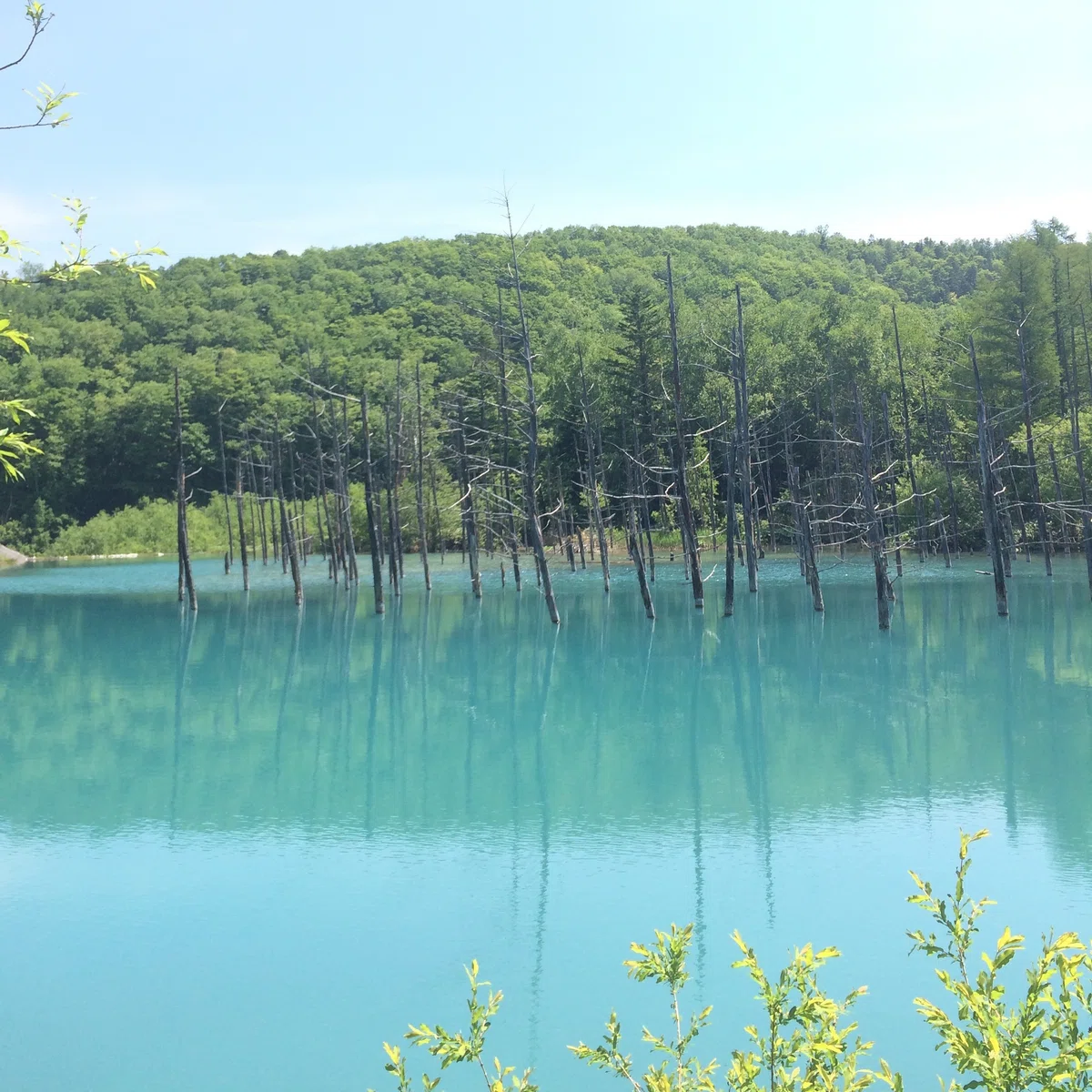 画像