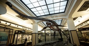 国立科学博物館　クラウドファンディング　返礼品 地球の宝を守れ｜国立科学博物館500万点のコレクションを次世代