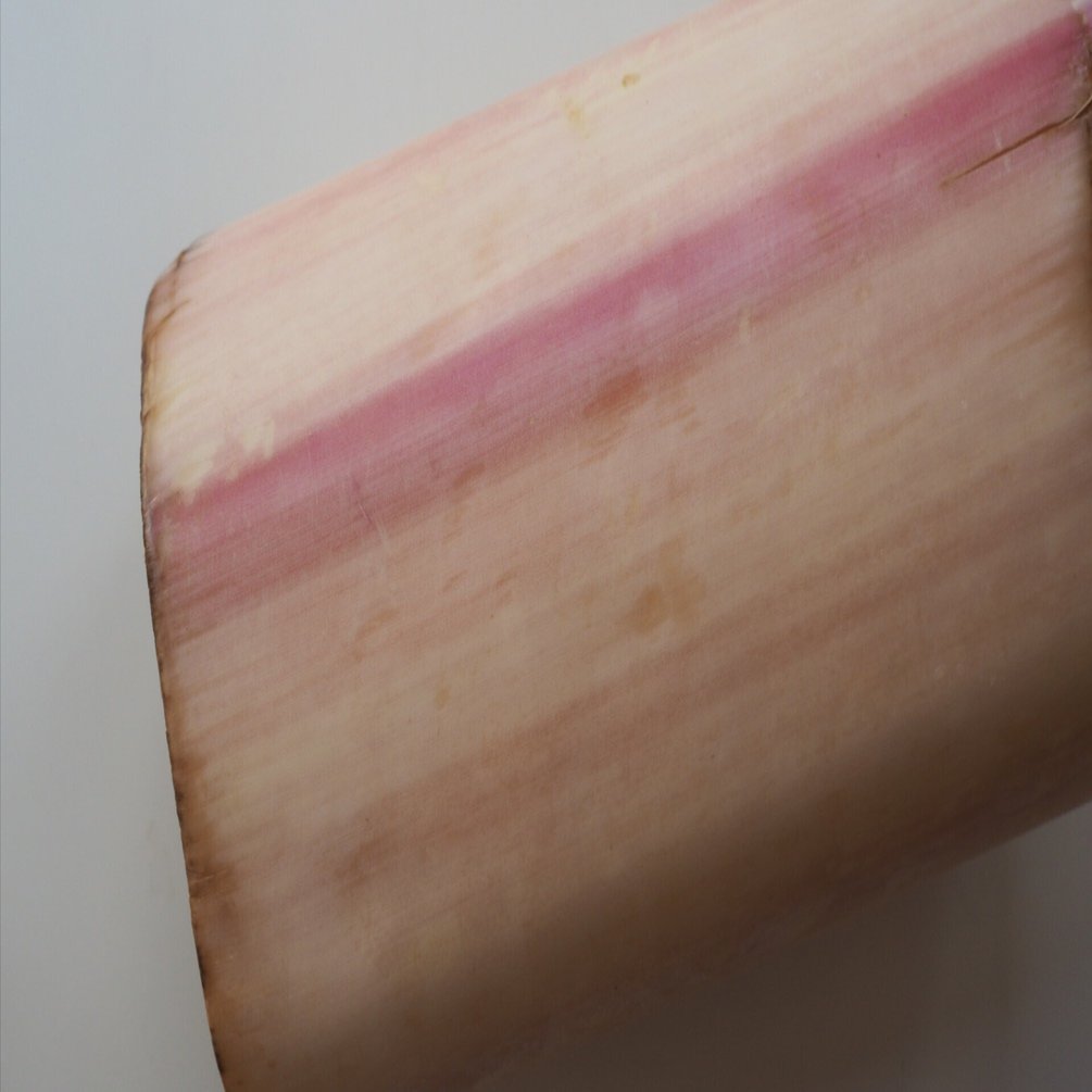 超レア食材？ バナナの茎を食べてみた｜ayagawawa