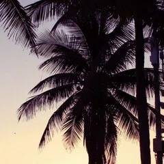 半田知雄（画家・移民史研究家、1906-1996） ブラジル版百人一語