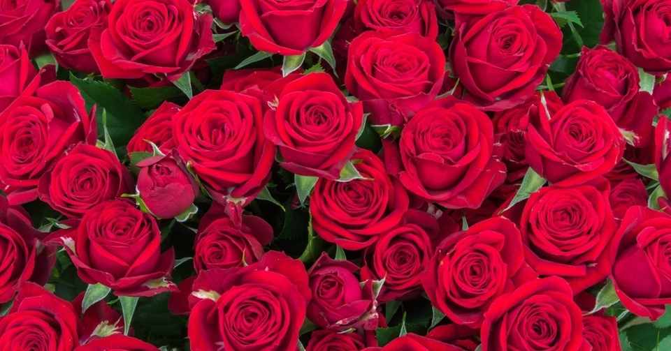 舞台の外もまた舞台である あんさんぶるスターズ エクストラ