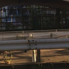 【限定値引き】『小説的強度』　絓秀実 絓秀実コレクションに寄稿しました。｜綿野恵太