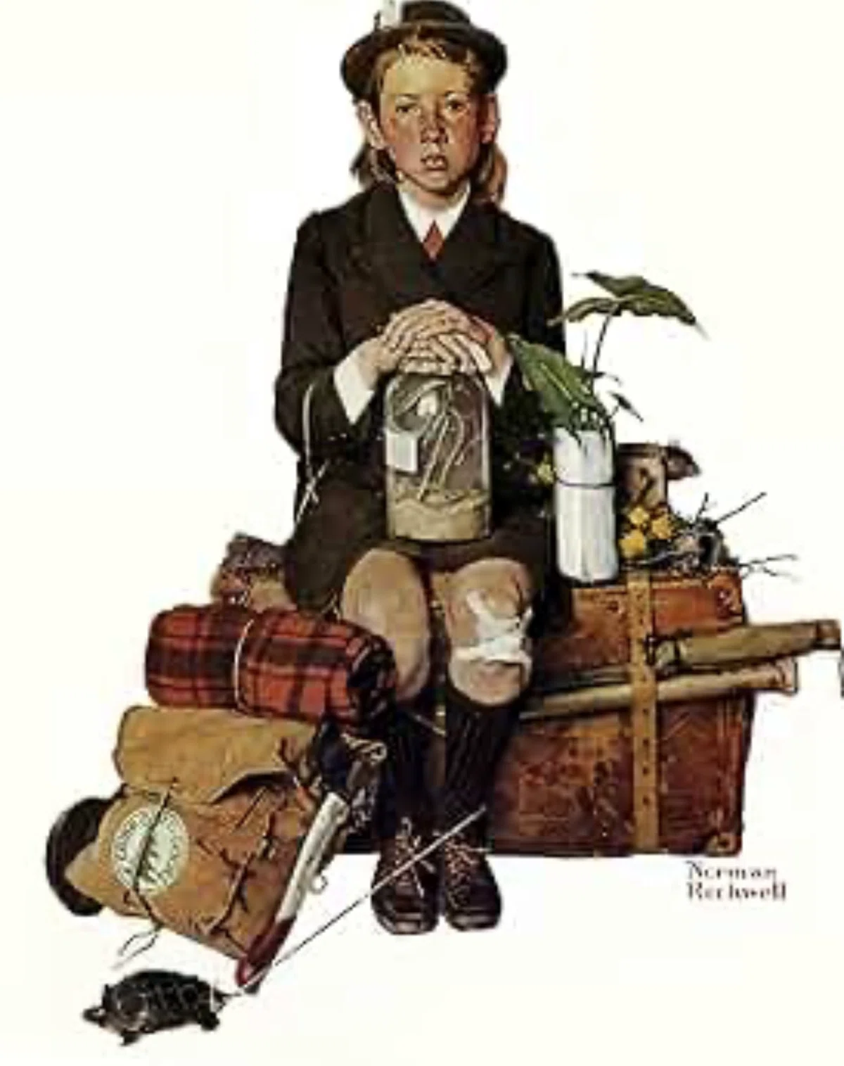NORMAN ROCKWELL｜EGGSEED