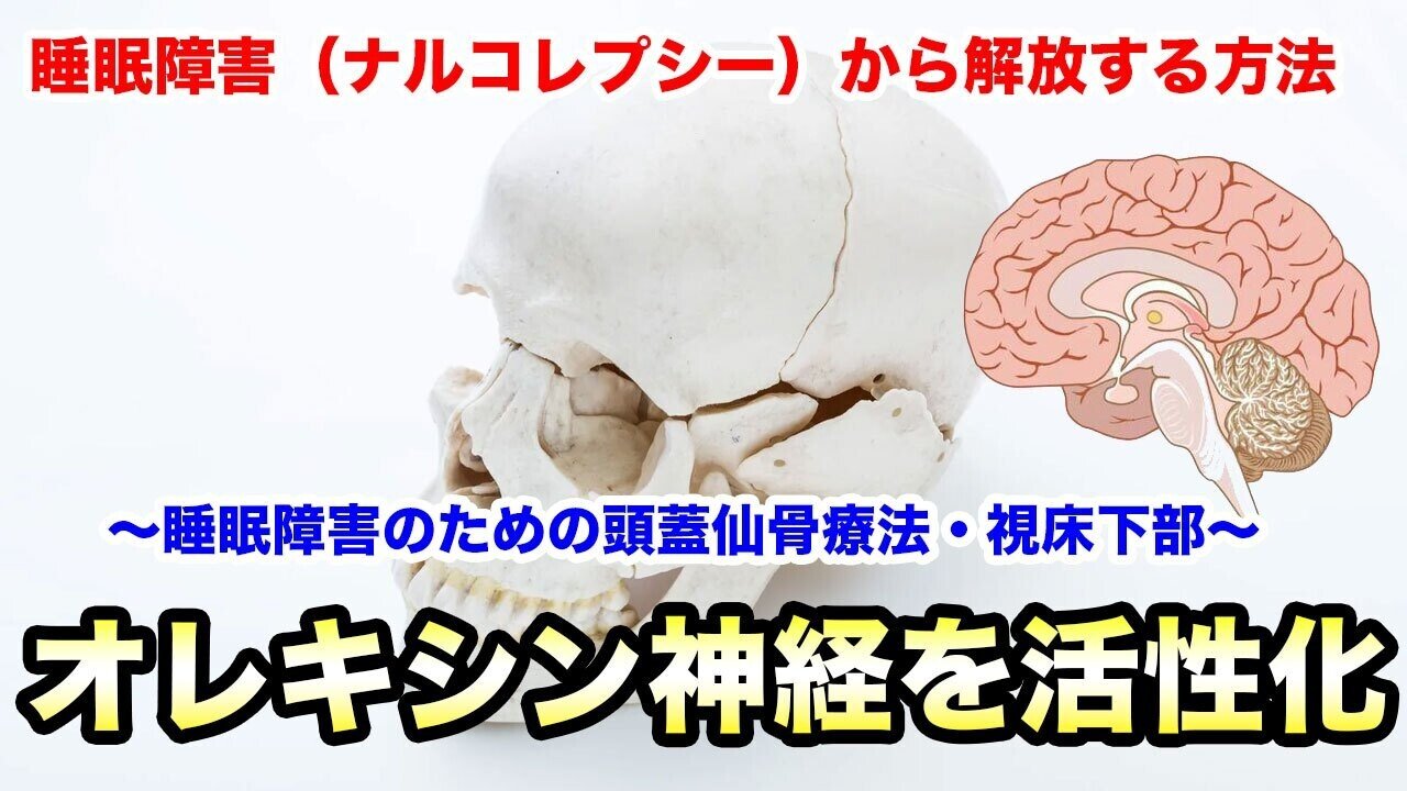 オレキシンとナルコレプシー