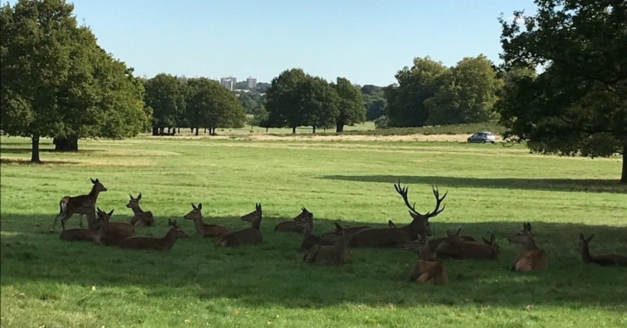 怒鳴る男の人が怖い erina yoshida note