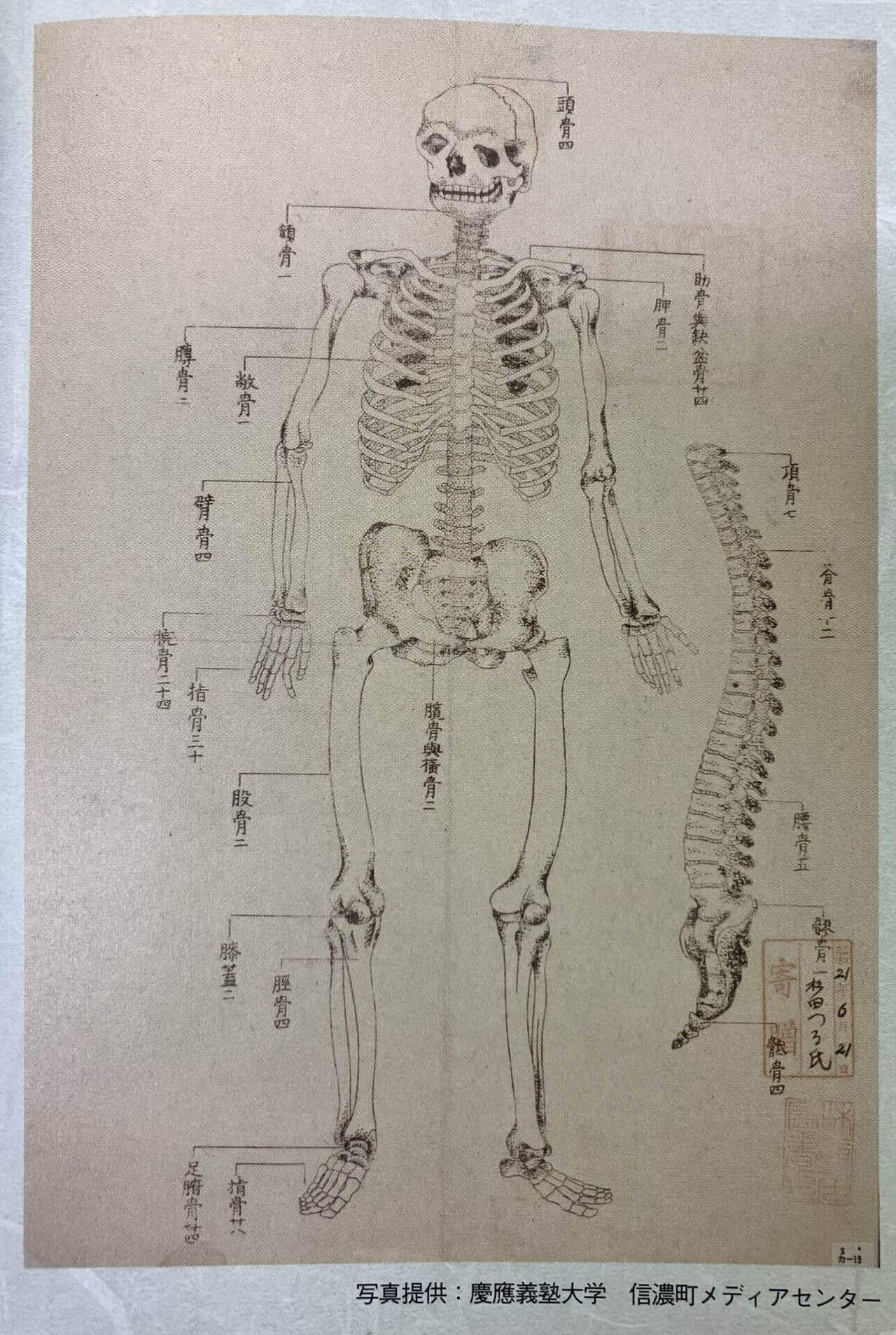 先祖が生きた地.岡山県津山市（歴史編 江戸時代 -『解体新書』と宇田川玄随-）18 #067｜藤小雪庵