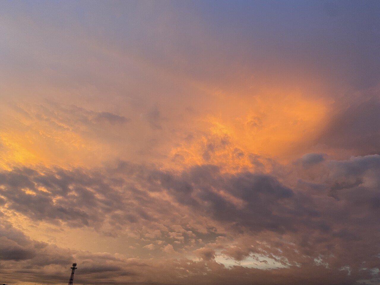 わたしには、人の気持ちが分からないことがある。 もっと理解できるように自分を変えなくては……とはならないのが今のわたしである