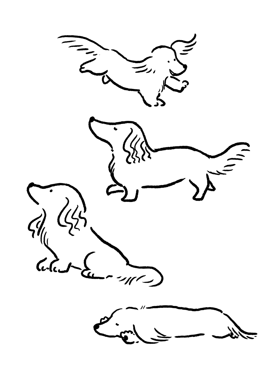 ダックスフンド｜ももろ illustrator 絵本