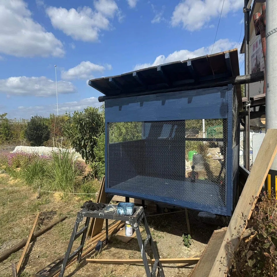 低コストに鶏小屋をDIYしました｜ミツワヤスコ?料理人プロデューサー