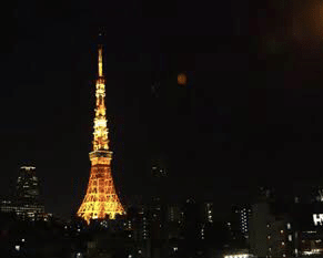 阪急ブックファースト渋谷店【その1】酒と本と、ときどき映画な日々｜草彅主税