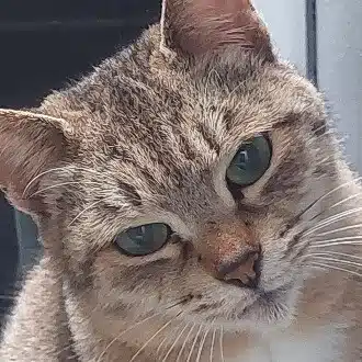 ちぃ
