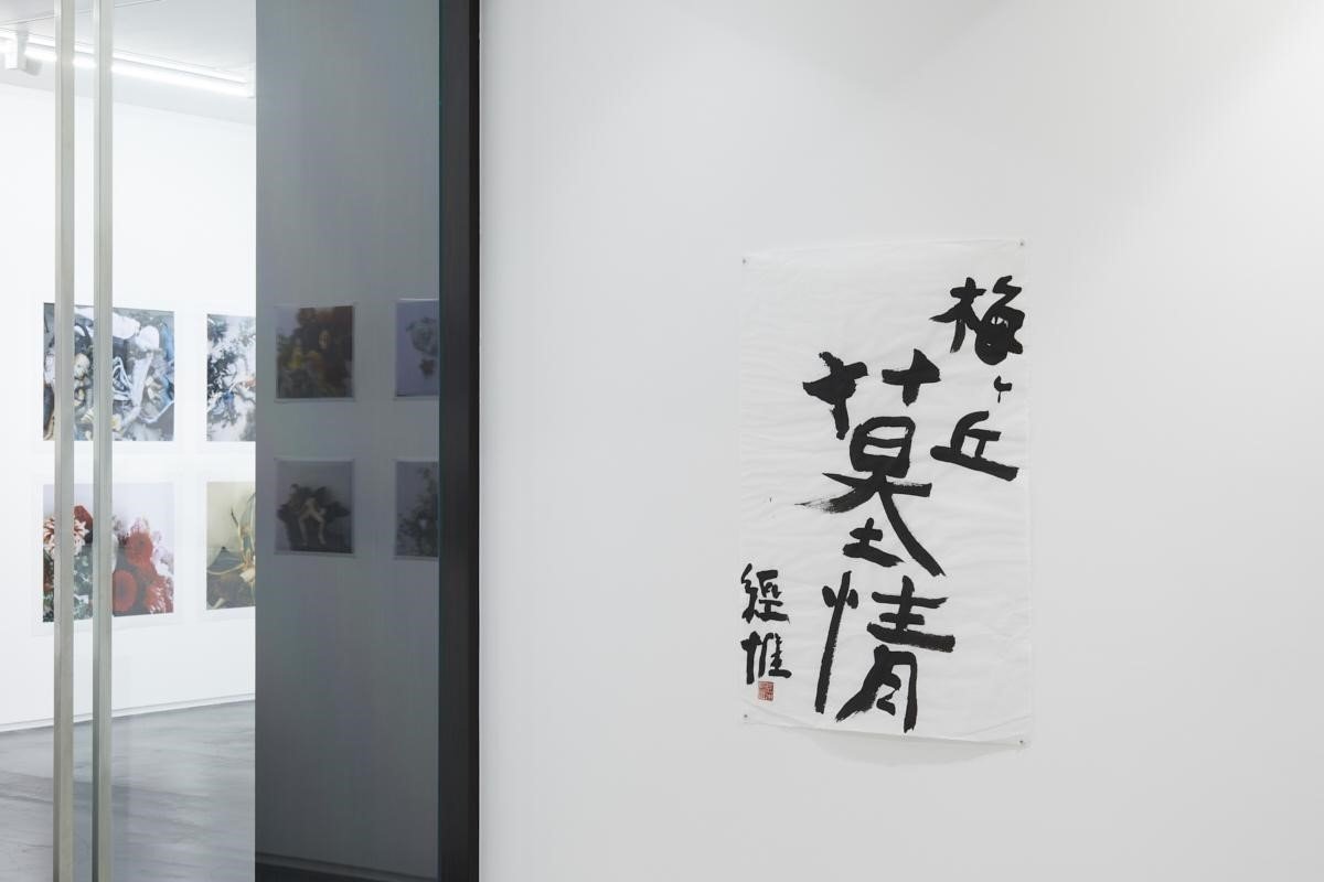 あの世界的写真家 荒木経惟が「ArtSticker」に参加！｜The Chain