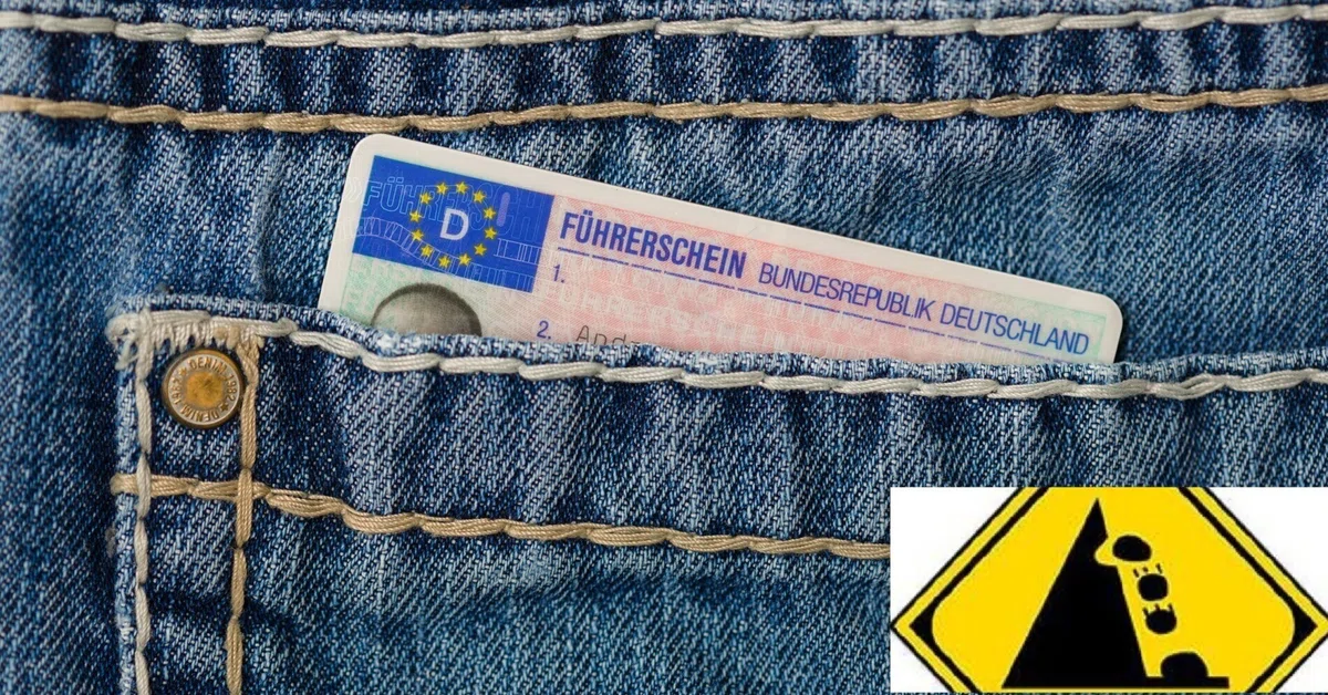 èŠåºãç»å