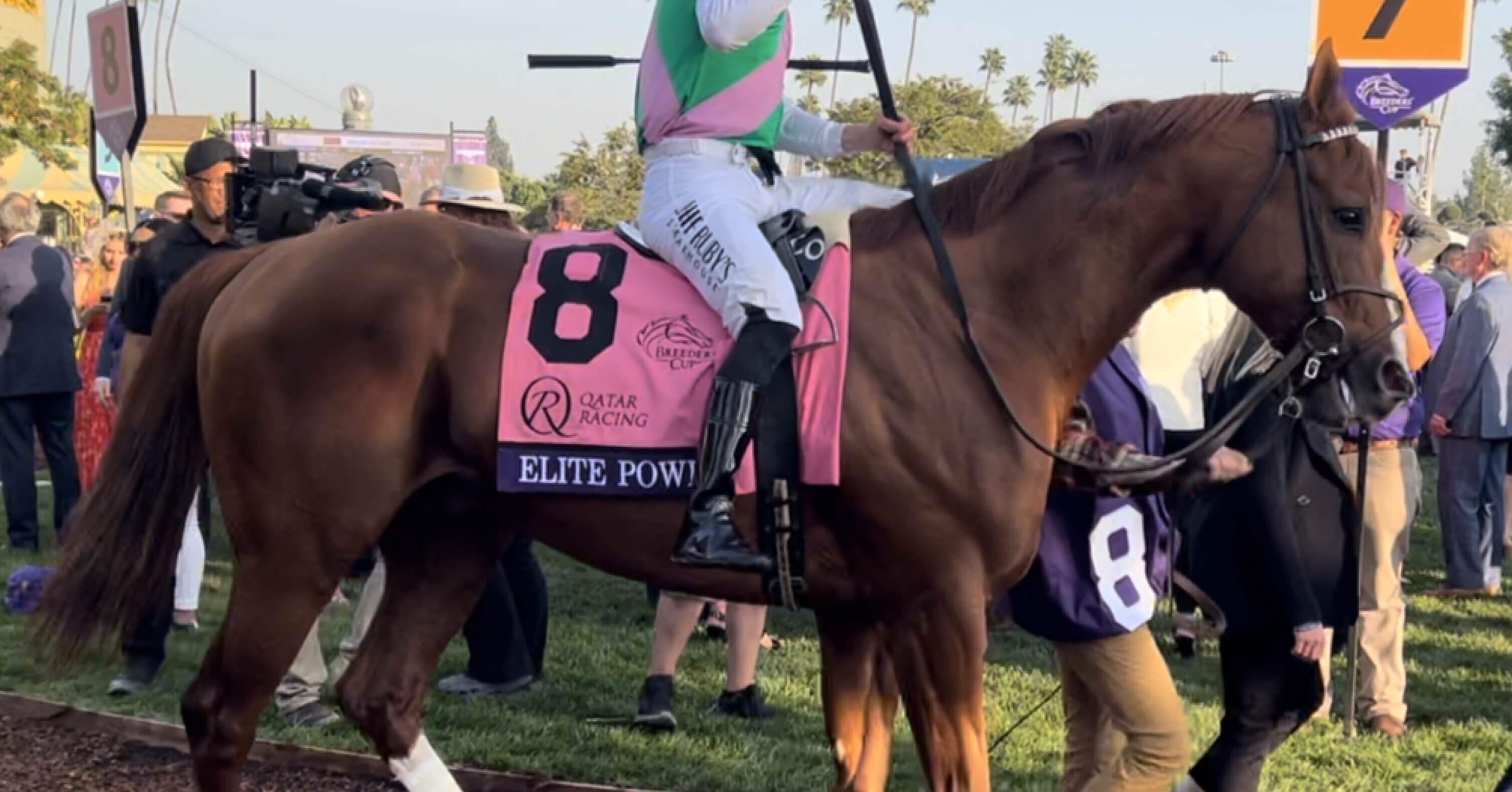 bf5831ed06964f3985c8bd797ae4f2