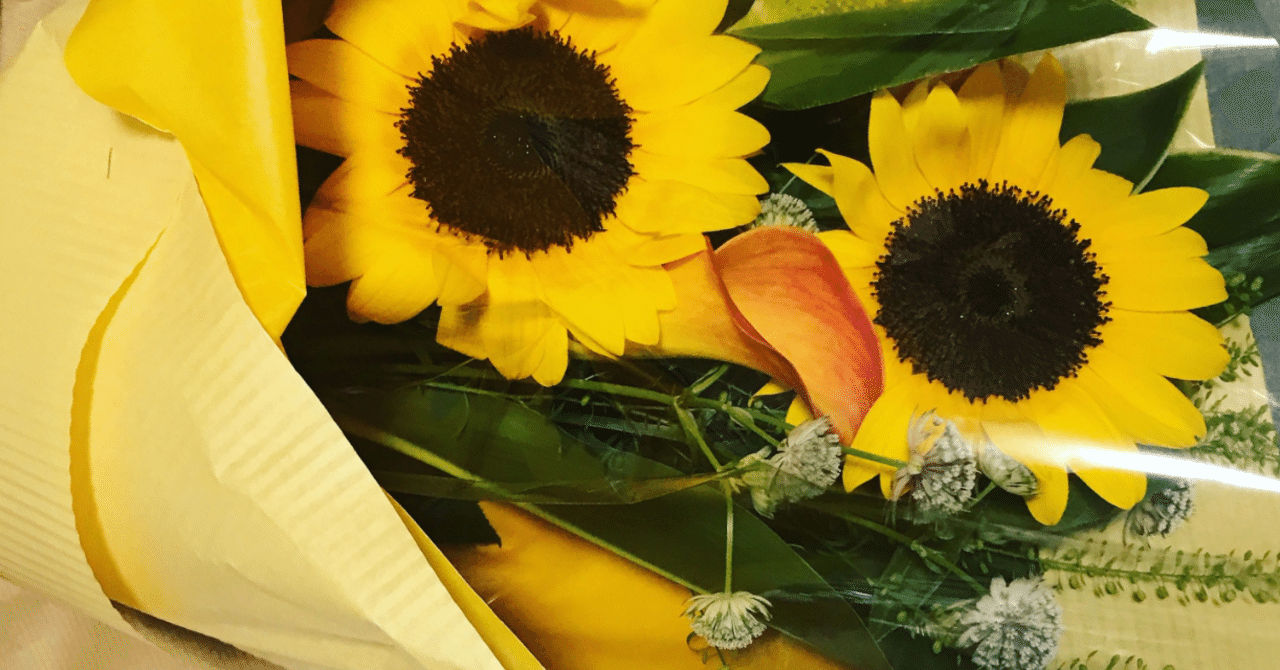 株式会社Aimingを退職し、フリーランスになります