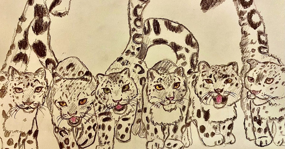 多摩動物公園ユキヒョウ物語-彼らの生きた証-（1991年〜2025年