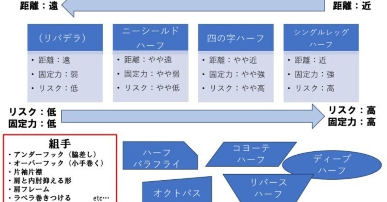 木部 亮 シングルレッグハーフガードシステム 動画版(vimeo版 木部 亮 シングルレッグハーフガードシステム 動画版(vimeo版