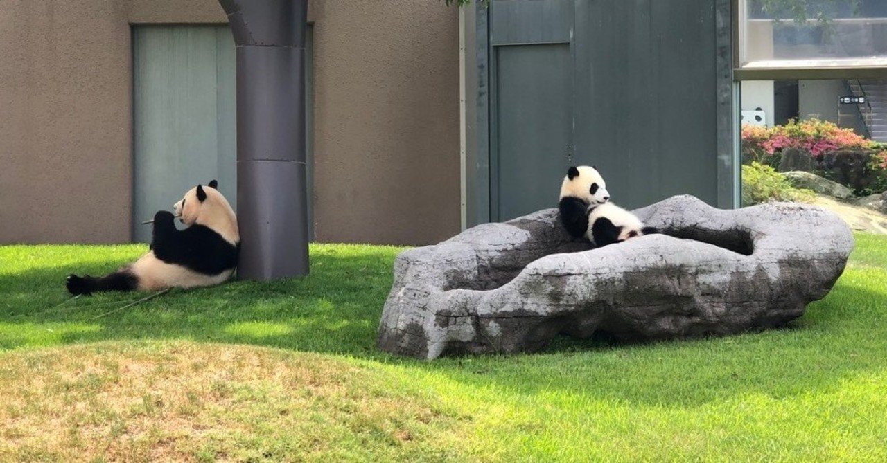 アドベンチャーワールド　まとめ 動物の紹介｜アドベンチャーワールド