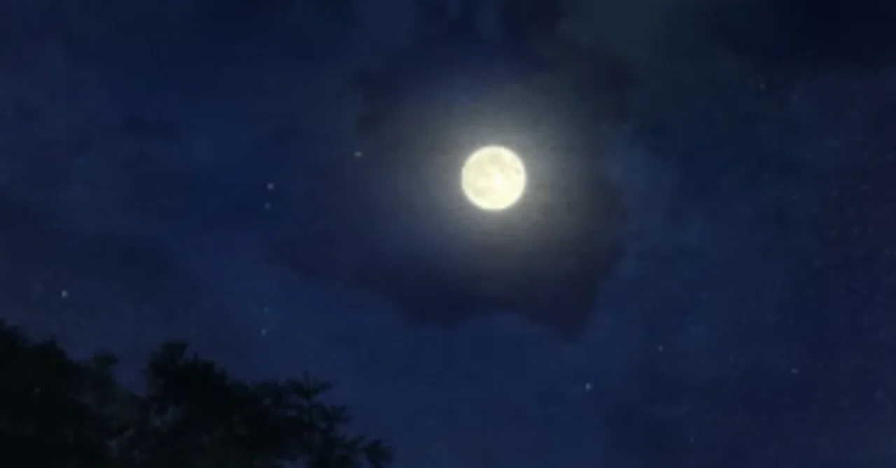 23/1112:夜画帳129話のはなし｜mtp:)
