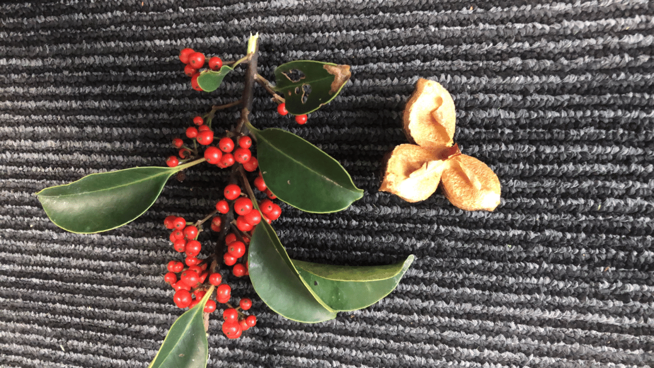 シナプスとは何ですか?種類は何ですか?また、シナプスはどのように発生しますか?